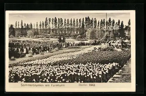 AK Berlin, Sommerblumen am Funkturm 1943