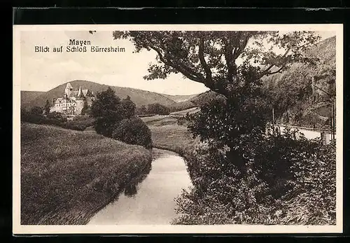 AK Mayen, Blick auf Schloss Bürresheim