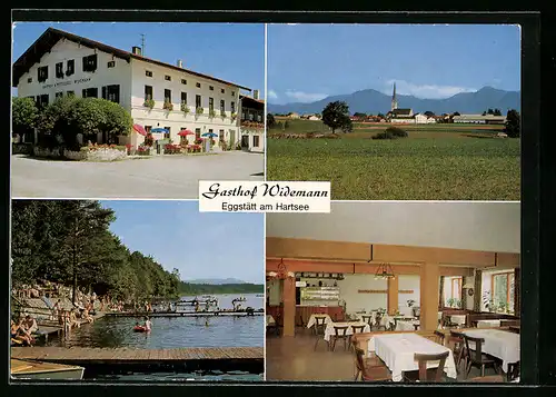 AK Eggstätt am Hartsee, Gasthof Widemann, Ortsansicht und Freibad