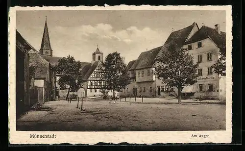 AK Münnerstadt, Partie am Anger