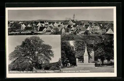 AK Welzheim, Teilansicht mit Weitblick, Bockseiche, Kriegerdenkmal am Kirchenplatz