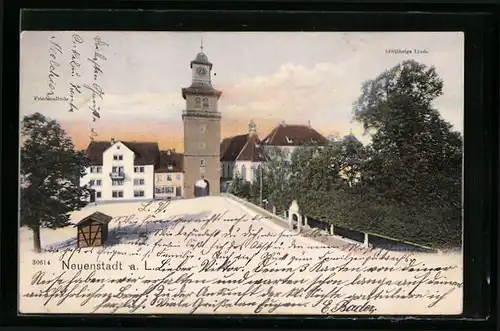 AK Neuenstadt a. L., 1000jährige Linde, Friedenslinde