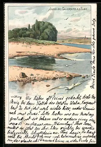 Lithographie Gauernitz a. d. Elbe, Insel