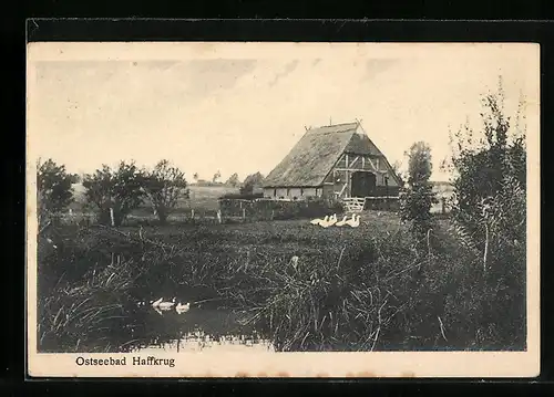 AK Haffkrug, Bauernhaus mit Schwänen