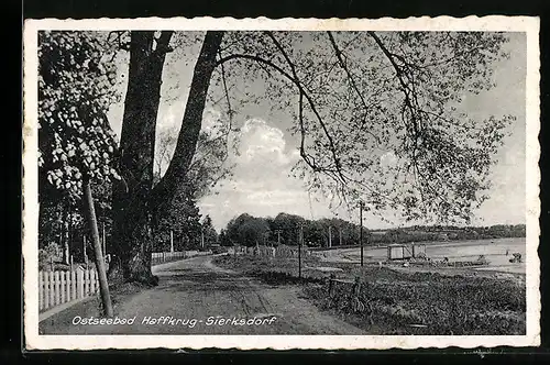 AK Haffkrug-Sierksdorf, Ostseebad, Ortspartie mit Strasse