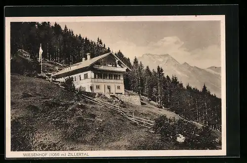 AK Mayrhofen /Zillertal, Gasthaus Wiesenhof am Wald