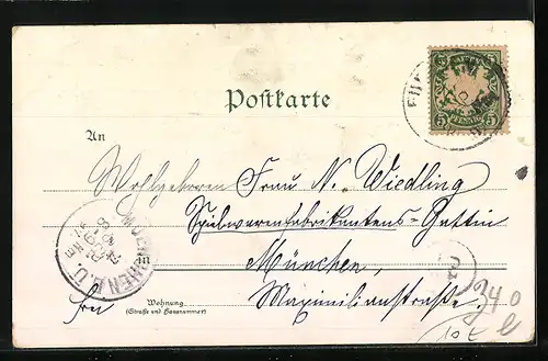 Lithographie Füssen, Ortsansicht, Neuschwanstein, Hohenschwangau