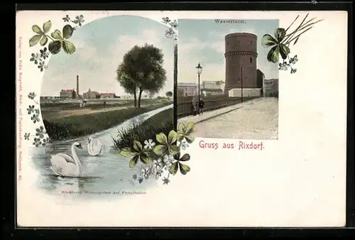 AK Rixdorf, Am Wasserturm, Schwäne am Stadtrand