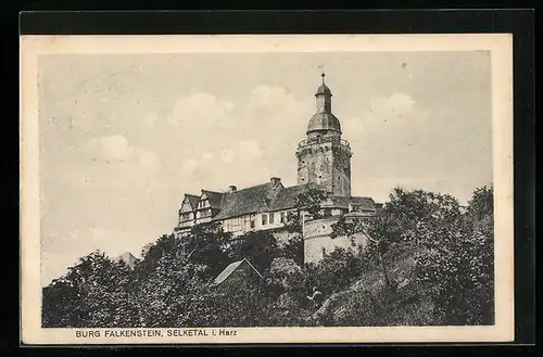 AK Selketal i. Harz, Burg Falkenstein
