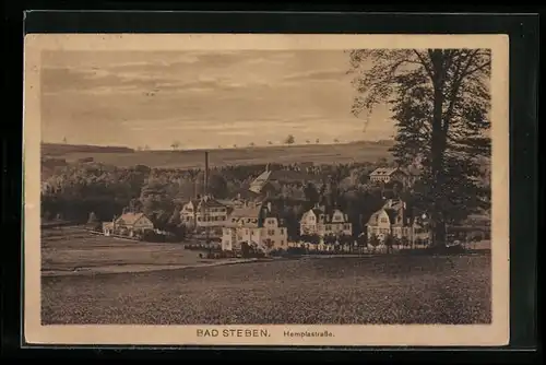 AK Bad Steben, Hemplastrasse mit Umgebung