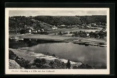 AK Diesbar-Nieschütz /Elbe, Ortsansicht mit Golkwald