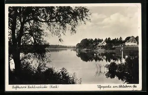 AK Zechlinerhütte /Mark, Uferpartie am Schlaborn-See
