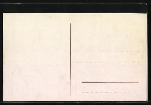 AK Hof i. B., Labyrinth, Saalepartie, Gesamtansicht