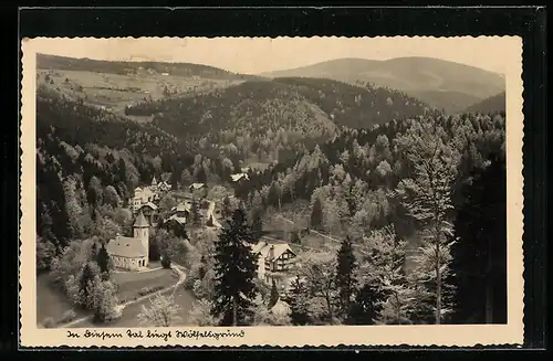 AK Wölfelsgrund, Panorama