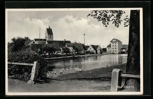 AK Bad Gögging, Uferpartie mit Gänsen