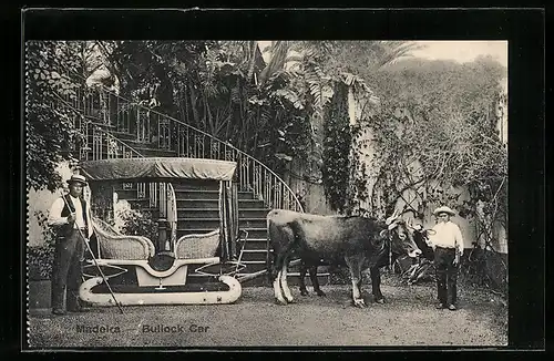 AK Madeira, Bullock Car