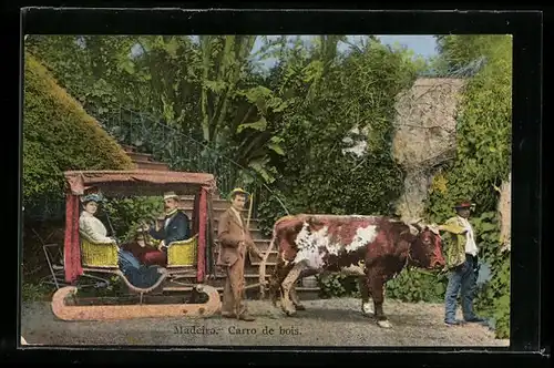 AK Madeira, Carro de bois