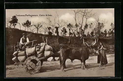 AK Carro de bois, Costumes Portuguezes, portugiesische Trachten