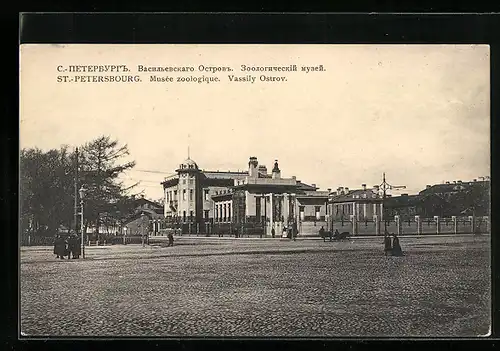 AK St.-Petersbourg, Musée zoologique, Vassily Ostrov
