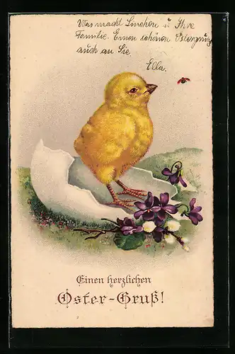 AK Osterküken schlüpft aus dem Ei