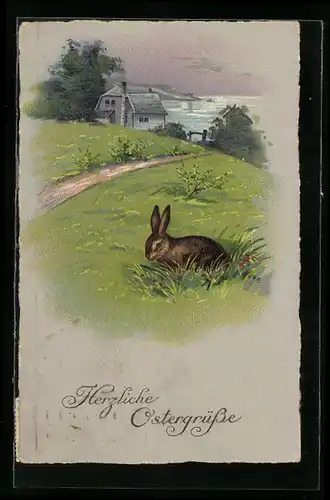 AK Osterhase im Grünen zum Feste