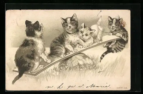 Präge-AK Katzen auf einer Wippe
