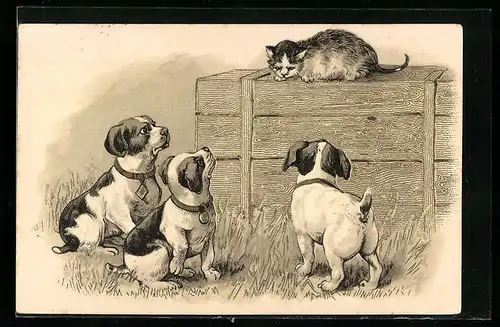 Präge-AK Drei kleine Hunde beobachten eine Katze auf einer Kiste