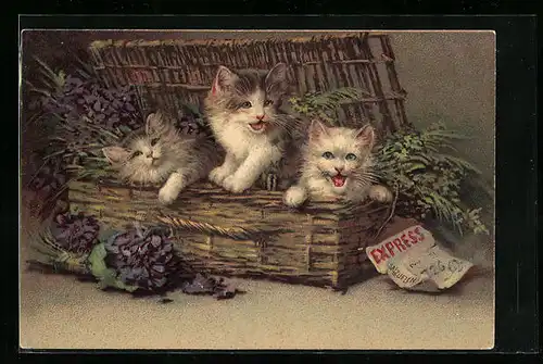 Künstler-AK Drei kleine Katzen mit Blumen in einem geflochtenen Koffer