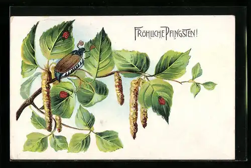 Präge-AK Fröhliche Pfingsten!, Maikäfer auf Birkenzweig