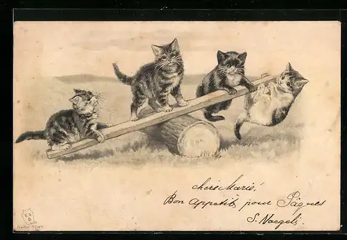 AK Katzen spielen auf einer Wippe