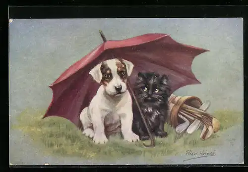 AK Hund und Katze gemeinsam unterm Schirm, Golfschläger
