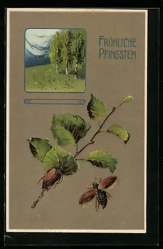 AK Fröhliche Pfingsten, Maikäfer am Birkenzweig