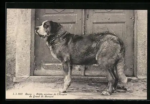 AK Barry, Fidele serviteur de l`Hospice du Grand St. Bernard