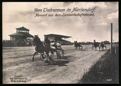 Riesen-AK Berlin-Mariendorf, Sulky-Pferderennen, Landwirtschaftsrennen auf der Trabrennbahn Mariendorf