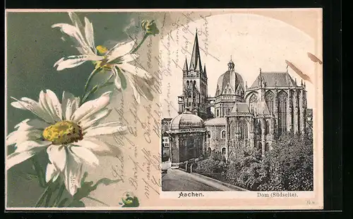Blumengruss-AK Aachen, Dom Südseite, Margeriten