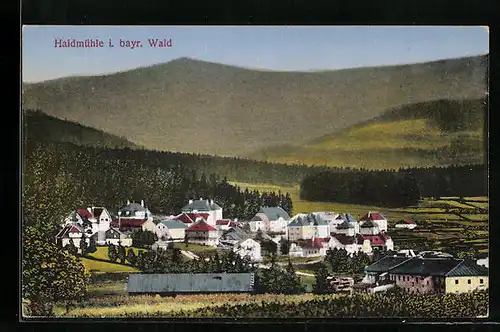 AK Haidmühle i. bayr. Wald, Totale von der Anhöhe aus gesehen