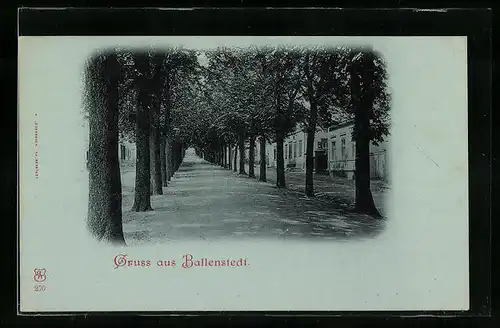 Mondschein-AK Ballenstedt, Partie in der Allee