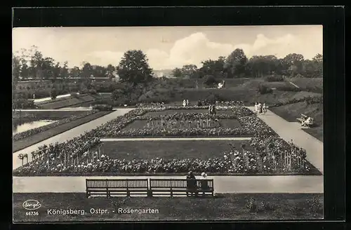 AK Königsberg, Rosengarten