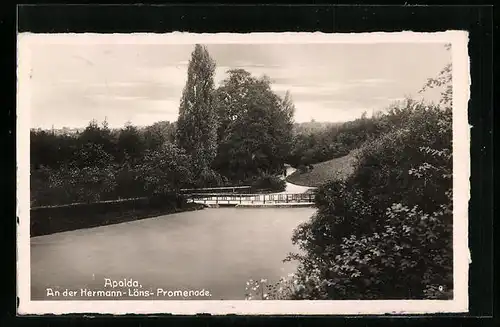 AK Apolda, an der Hermann-Löns-Promenade
