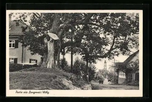 AK Langenau /Wttbg., Ortspartie mit Kirche