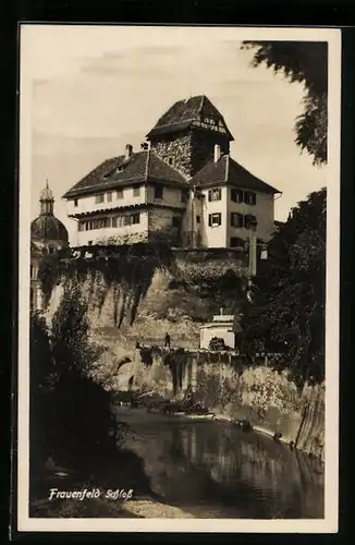 AK Frauenfeld, Partie am Schloss