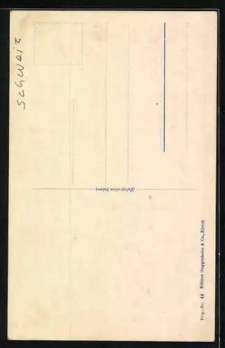 AK Frauenfeld, Partie am Schloss