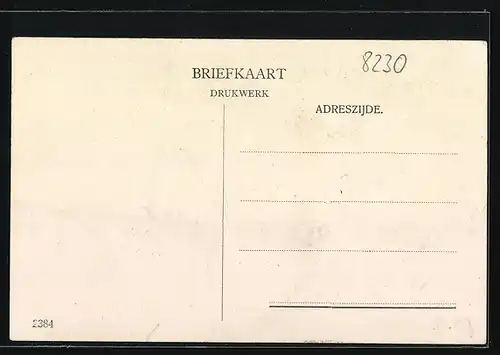 AK Reichenhall, Villa Almrausch, Bes.: Ig. Gritschacher