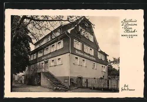 AK Schollbrunn, Gasthaus & Pension zum Hirsch