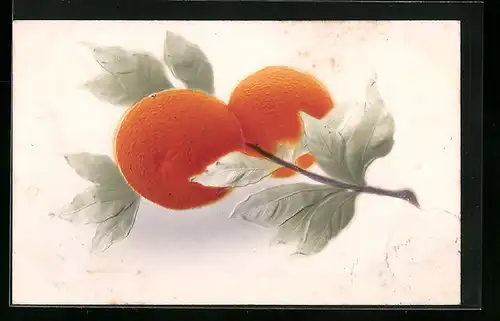 Präge-Airbrush-AK Mandarinen am Zweig, Obst