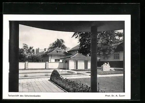 AK Zwingenberg /Hessen, Deutsche Milchwerke, Teilansicht des Schwimmbades