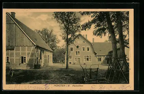 AK Münster i. W., Kaffeewirtschaft Maikotten