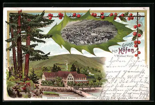 Lithographie Höfen, Gasthof z. Ochsen, Totalansicht