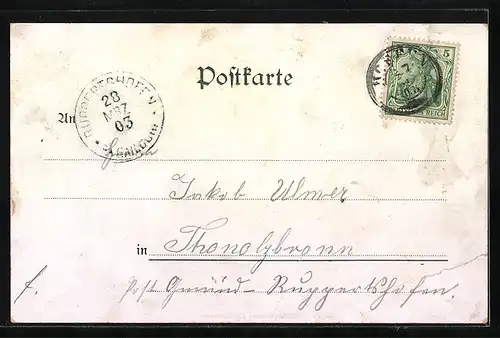 Lithographie Höfen, Gasthof z. Ochsen, Totalansicht