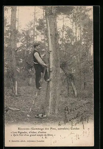 AK Resiniers Landes, Forstarbeiter bei der Harzernte